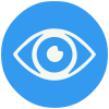 iconizer-vision svg blue (2)